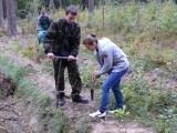 Obraz przedstawiający Tysiąc drzew na Święto Drzewa 2012 w Nadleśnictwie Oleszyce