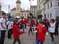 Obraz przedstawiający Młodzież z Rudy Różanieckiej z wizytą w Bańskiej Bystrzycy