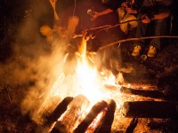 Obraz przedstawiający "Kupalnocka na Ludową Nutę" w Narolu - zobacz zdjecia