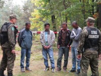 Obraz przedstawiający Imigranci, po nielegalnym przekroczeniu granicy, zatrzymani nieopodal Wólki Krowickiej