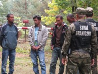 Obraz przedstawiający Imigranci, po nielegalnym przekroczeniu granicy, zatrzymani nieopodal Wólki Krowickiej