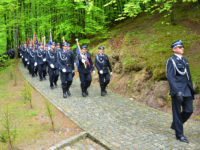 Obraz przedstawiający Powiatowe Święto Strażaków - zobacz zdjęcia