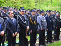 Obraz przedstawiający Powiatowe Święto Strażaków - zobacz zdjęcia