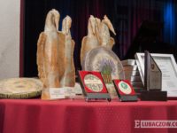 Obraz przedstawiający Znamy Złote Talenty Powiatu Lubaczowskiego [ZDJĘCIA]