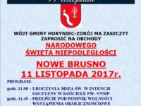 Obraz przedstawiający Narodowe Święto Niepodległości w powiecie lubaczowskim