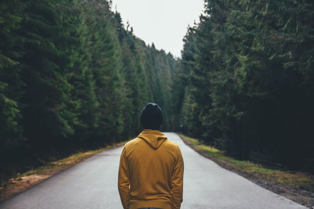 Obraz przedstawiający Jaki skład powinna mieć dobra bluza męska?