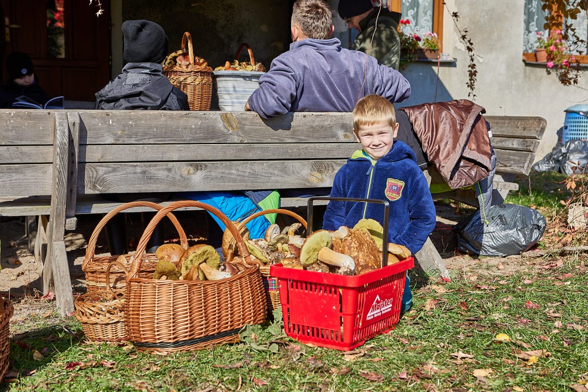 Obraz przedstawiający Ewelina Żelisko z tytułem Roztoczańskiego Króla Grzybobrania