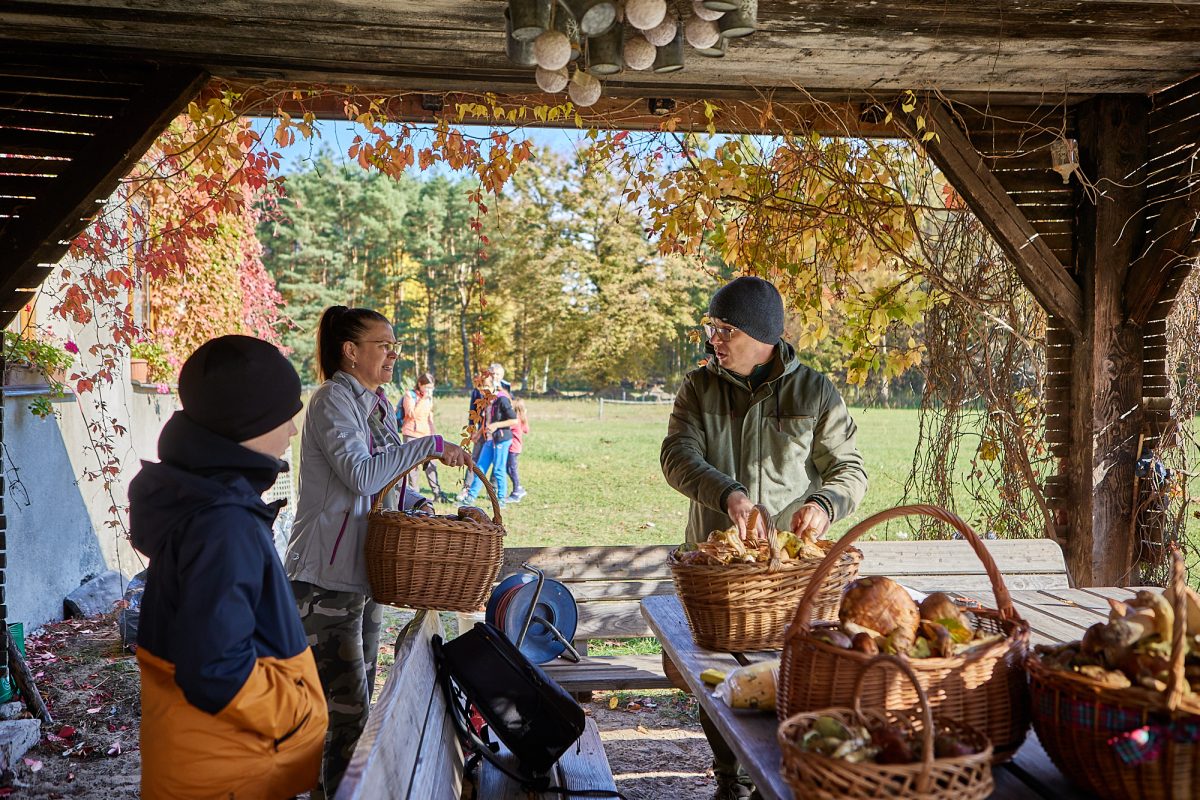Obraz przedstawiający Ewelina Żelisko z tytułem Roztoczańskiego Króla Grzybobrania