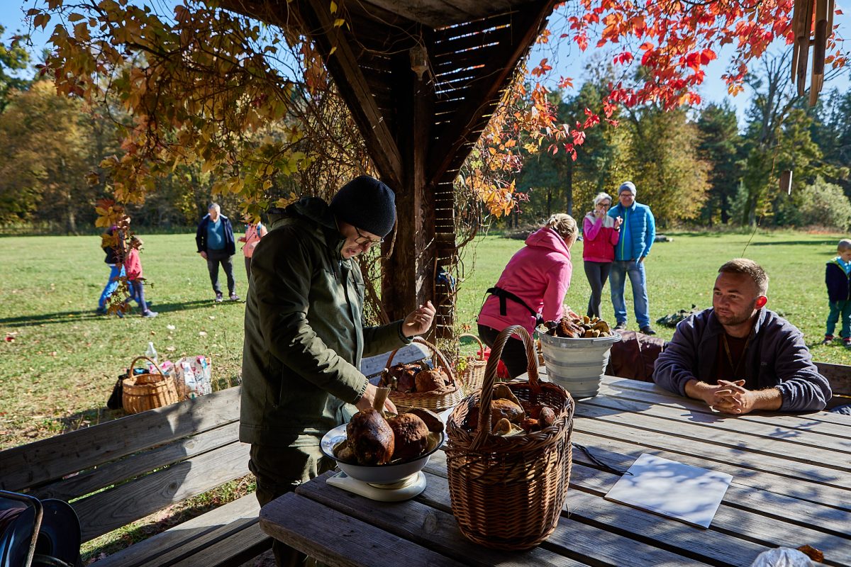 Obraz przedstawiający Ewelina Żelisko z tytułem Roztoczańskiego Króla Grzybobrania