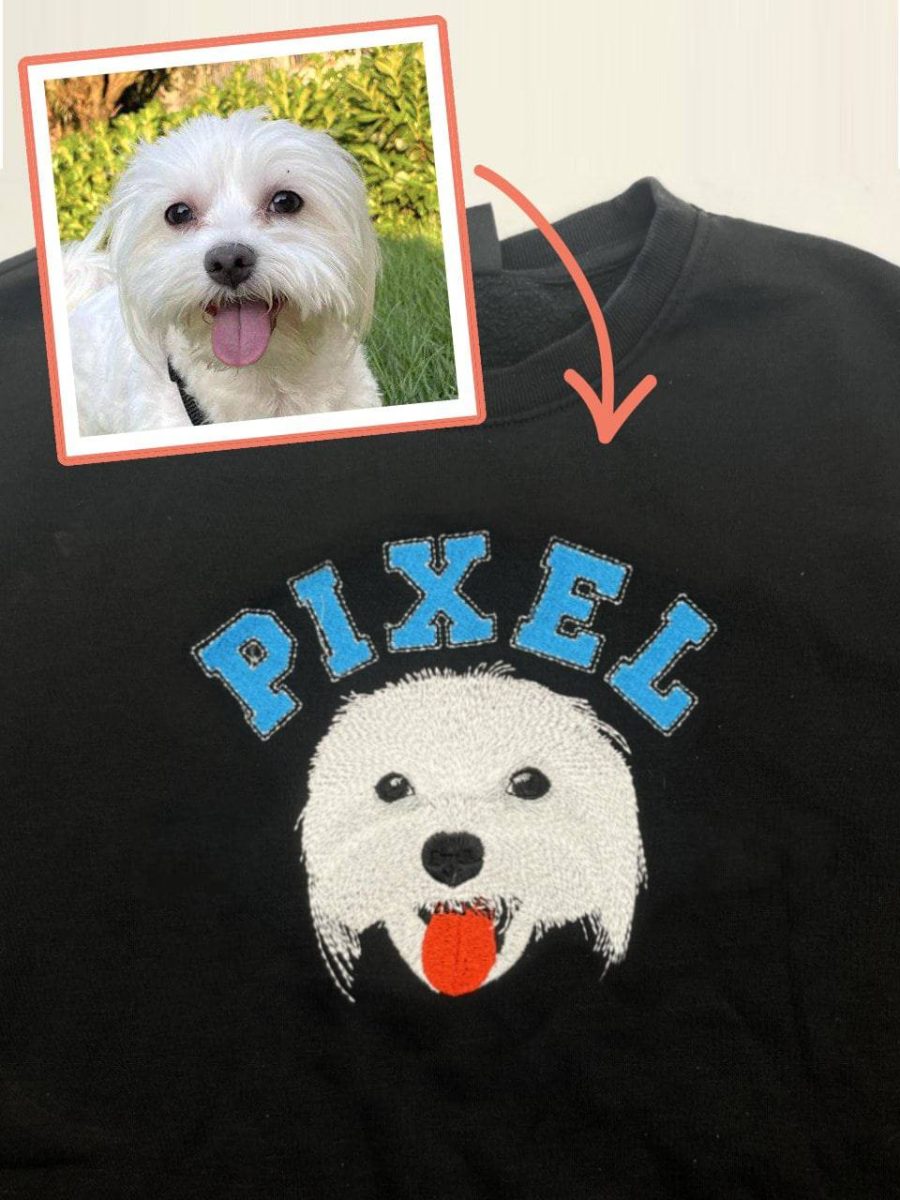 Obraz przedstawiający Jak dbać o ubrania z nadrukiem, aby służyły jak najdłużej