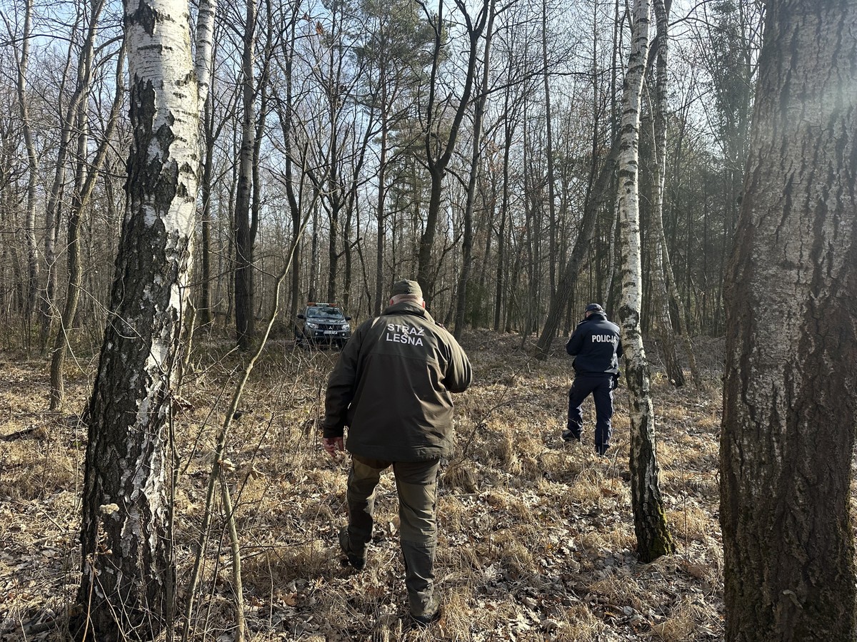 Obraz przedstawiający Policja i Straż Leśna przeciwko kłusownikom