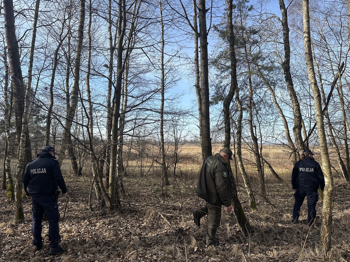 Obraz przedstawiający Policja i Straż Leśna przeciwko kłusownikom