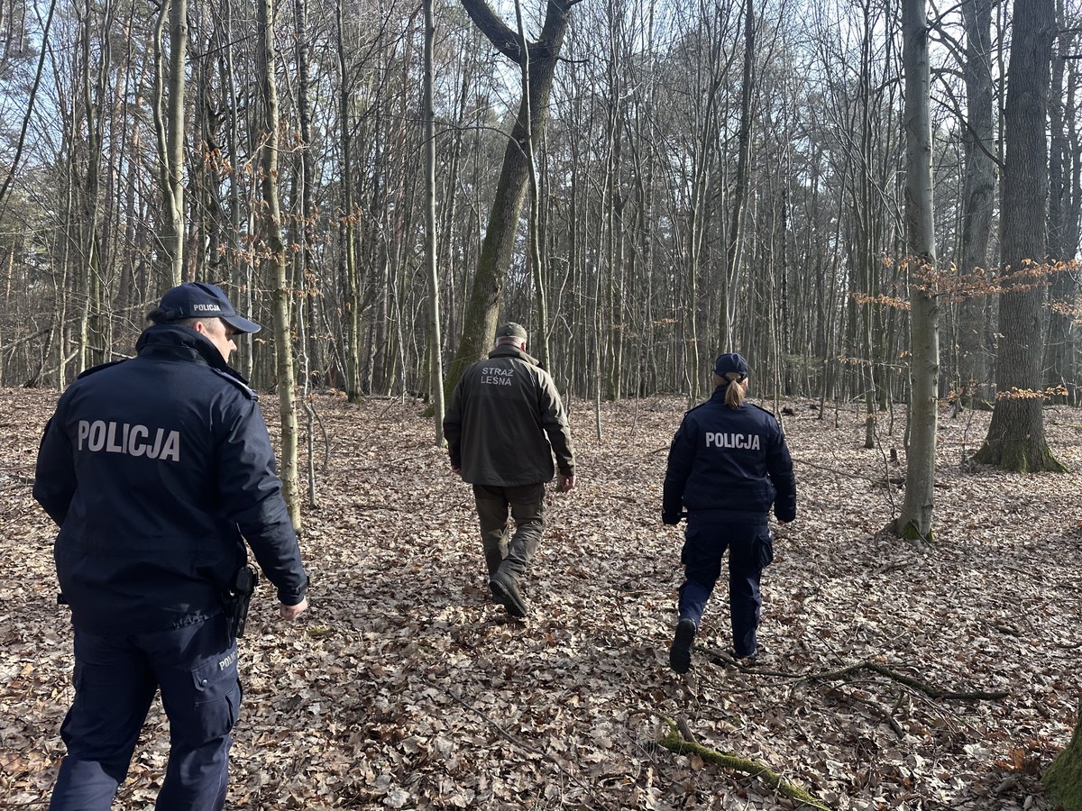 Obraz przedstawiający Policja i Straż Leśna przeciwko kłusownikom