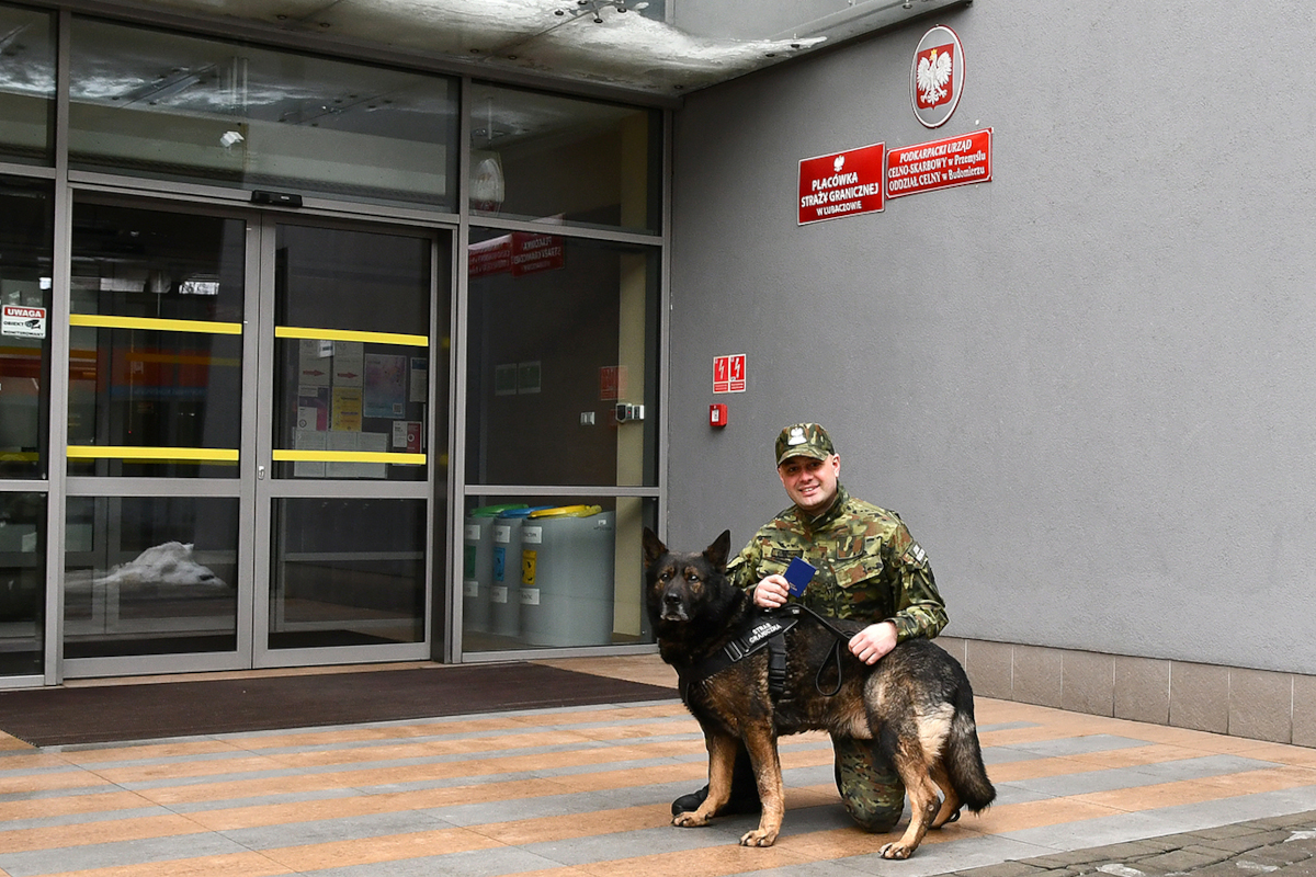 Obraz przedstawiający Szlachetny gest funkcjonariusza z Lubaczowa. Oddał szpik dla pacjentki z USA