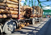 Kłody drewna spadły na most. Zawinił kierowca z powiatu lubaczowskiego