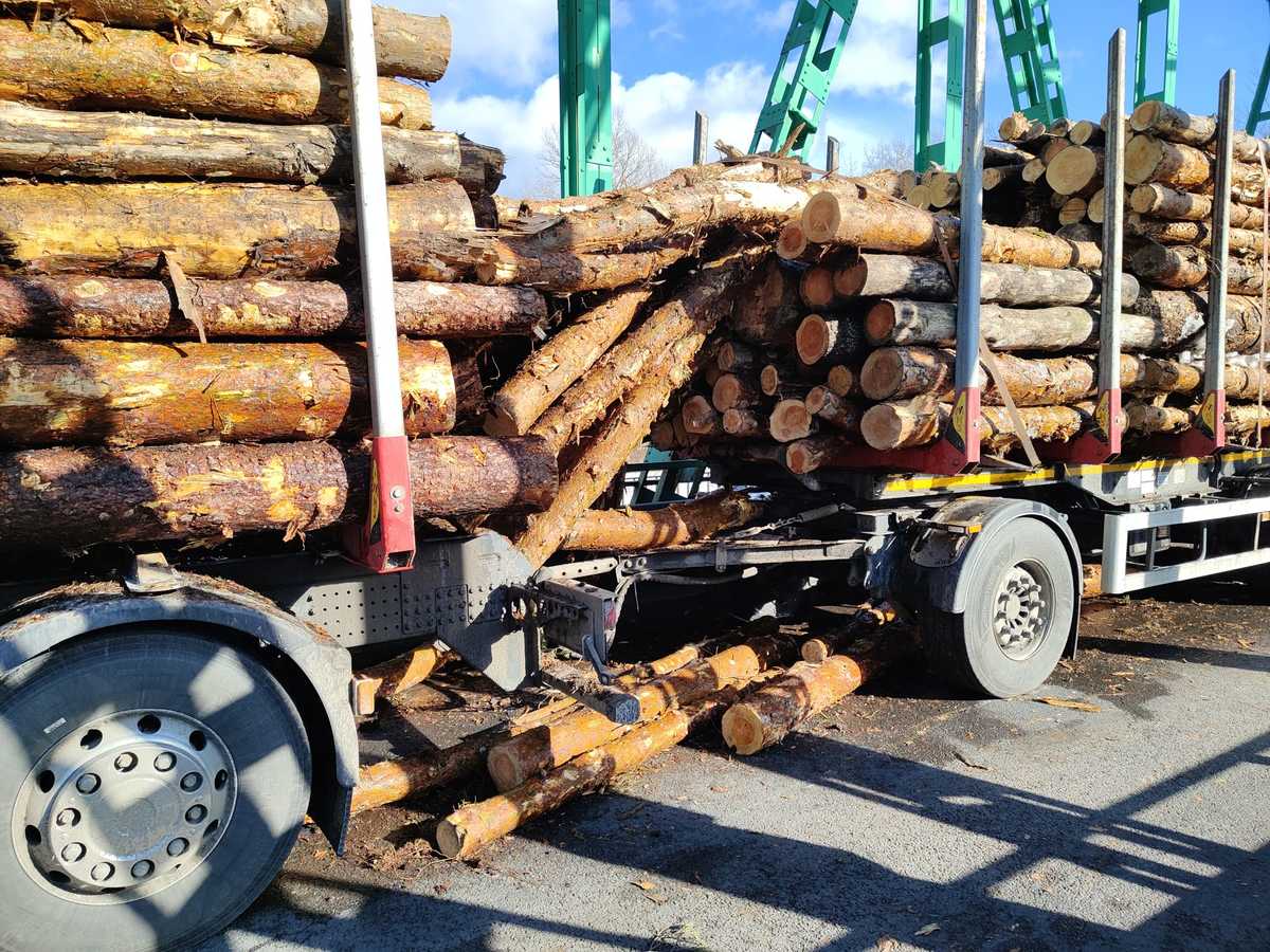 Obraz przedstawiający Kłody drewna spadły na most. Zawinił kierowca z powiatu lubaczowskiego