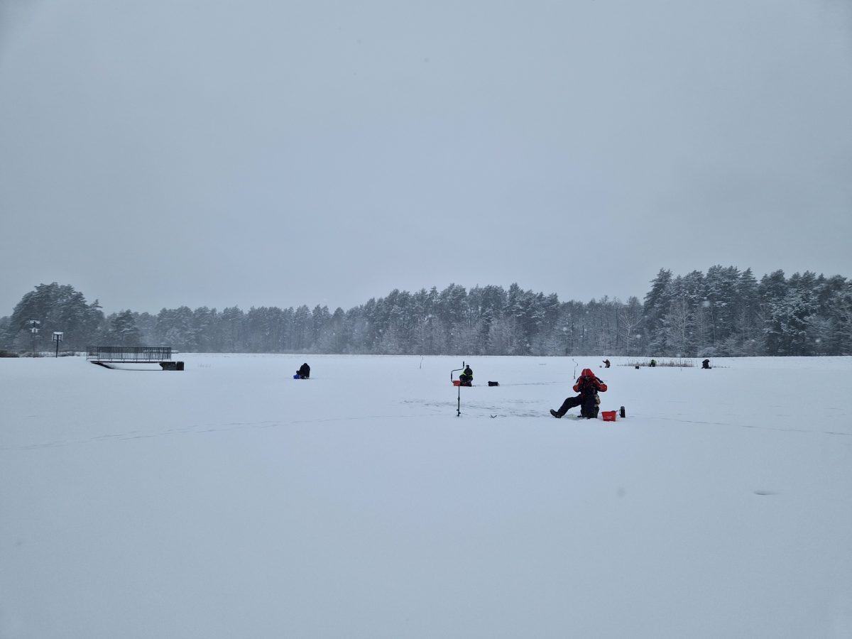 Obraz przedstawiający Podlodowe zmagania w Borowej Górze. Wędkarze rywalizowali w trudnych warunkach