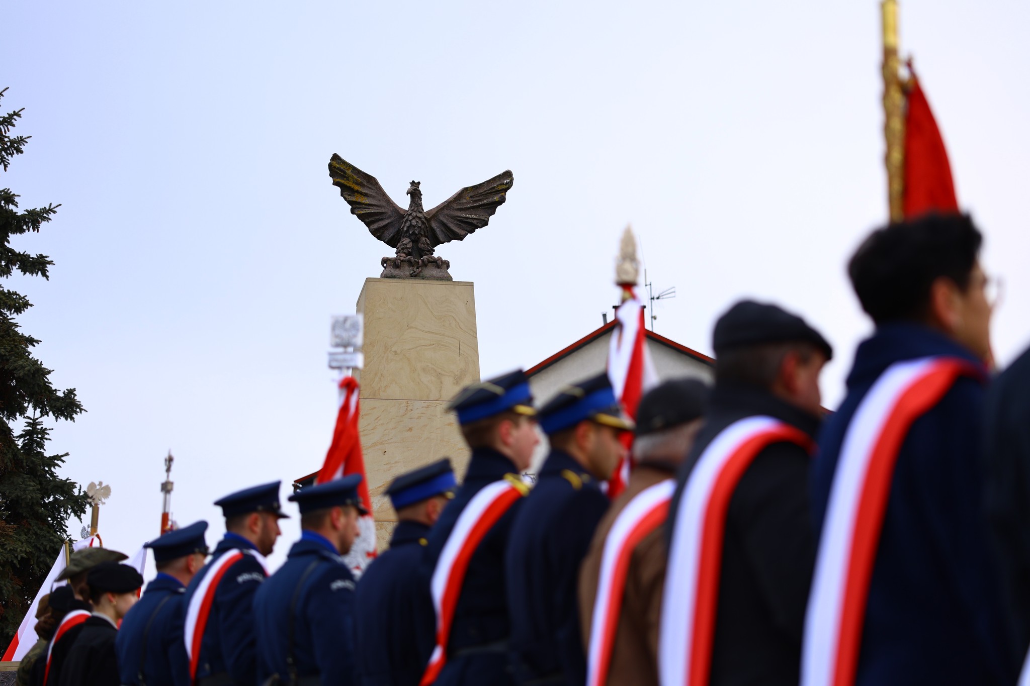Obraz przedstawiający Lubaczów oddał hołd bohaterom Armii Krajowej [ZDJĘCIA]