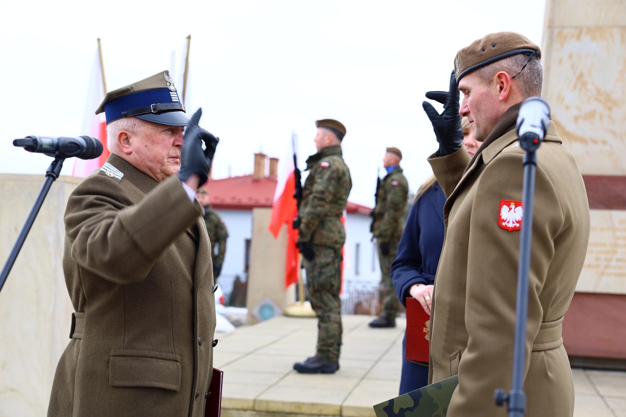 Obraz przedstawiający Lubaczów oddał hołd bohaterom Armii Krajowej [ZDJĘCIA]
