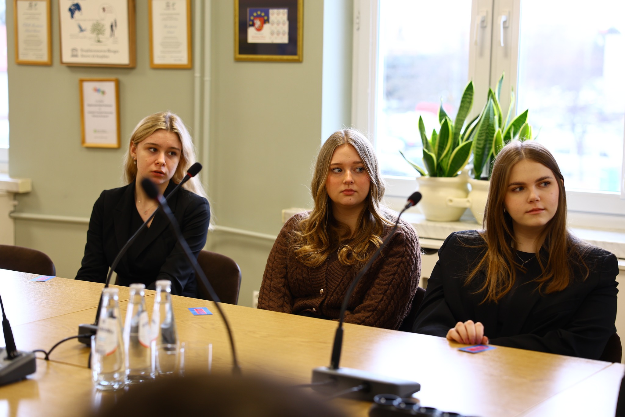 Obraz przedstawiający Młodzieżowa Rada Powiatu z ambitnymi planami