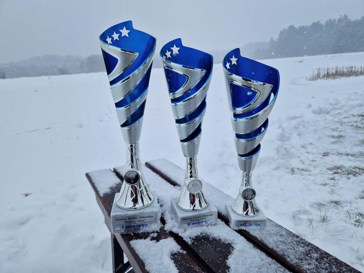 Obraz przedstawiający Podlodowe zmagania w Borowej Górze. Wędkarze rywalizowali w trudnych warunkach