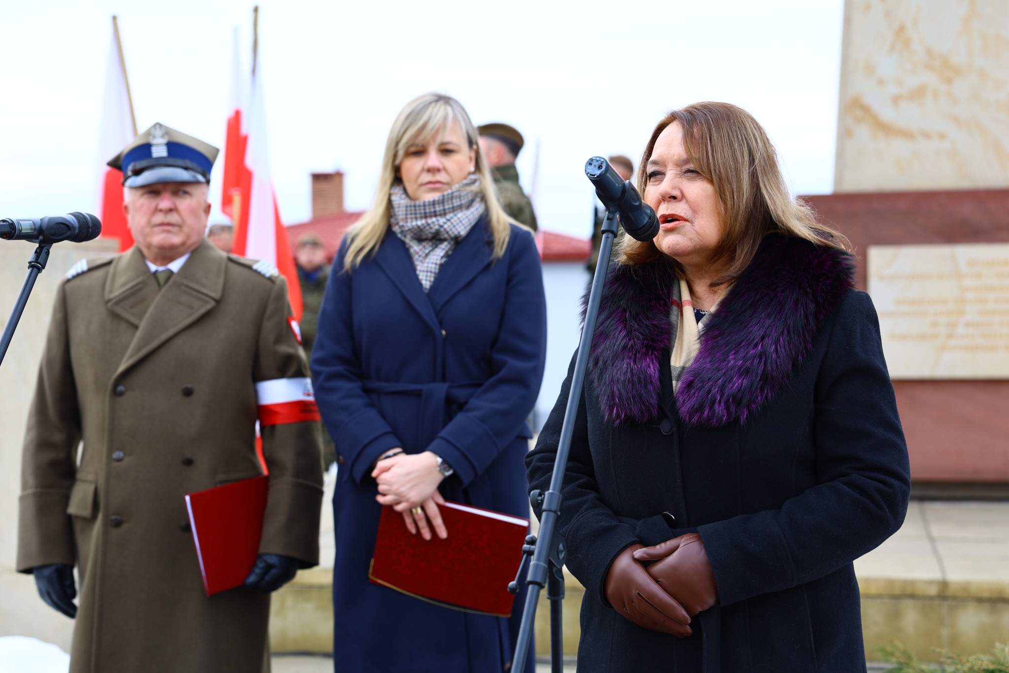 Obraz przedstawiający Lubaczów oddał hołd bohaterom Armii Krajowej [ZDJĘCIA]