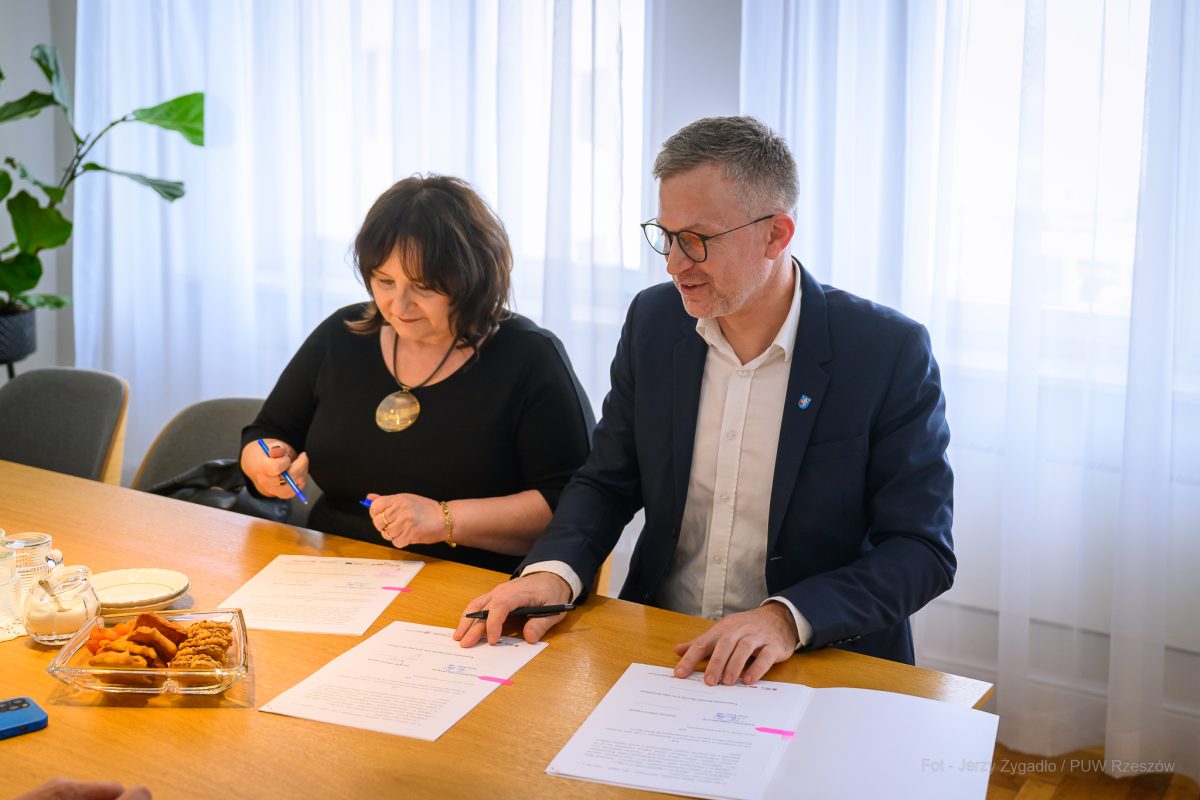 Obraz przedstawiający Kolejne kroki w stronę powstania żłobka w Narolu