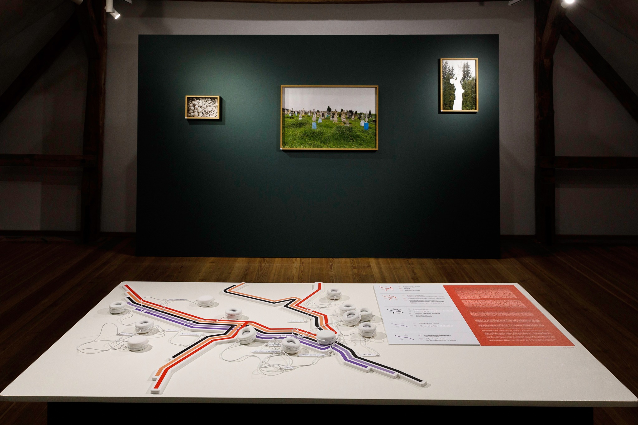 Obraz przedstawiający „Polifonia pamięci na granicach karpackich światów" dostępna w Radrużu 