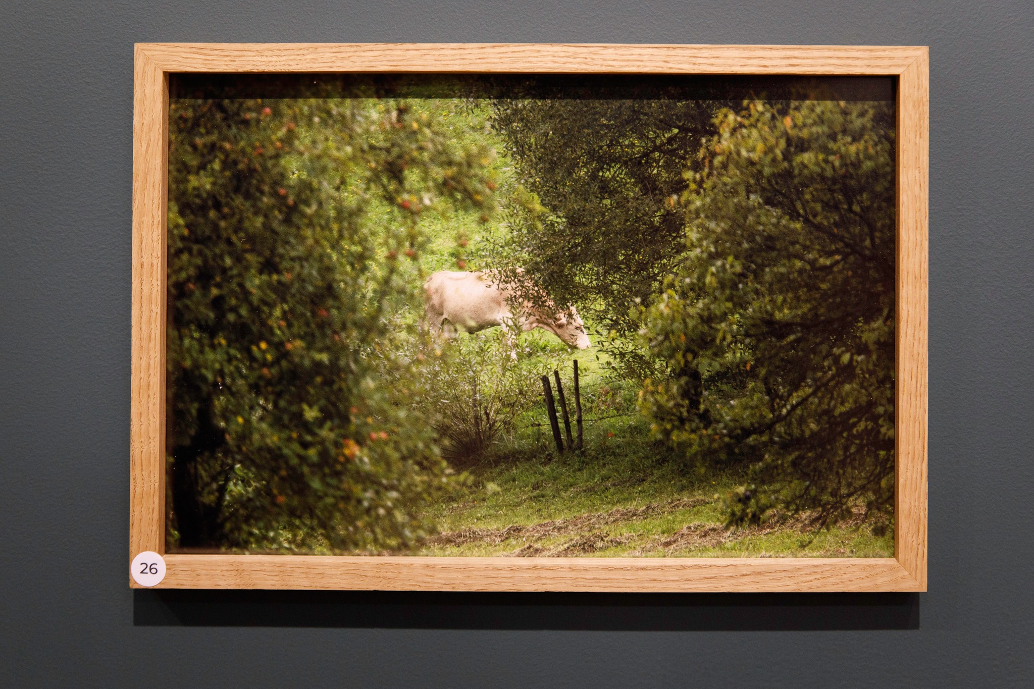 Obraz przedstawiający „Polifonia pamięci na granicach karpackich światów" dostępna w Radrużu 