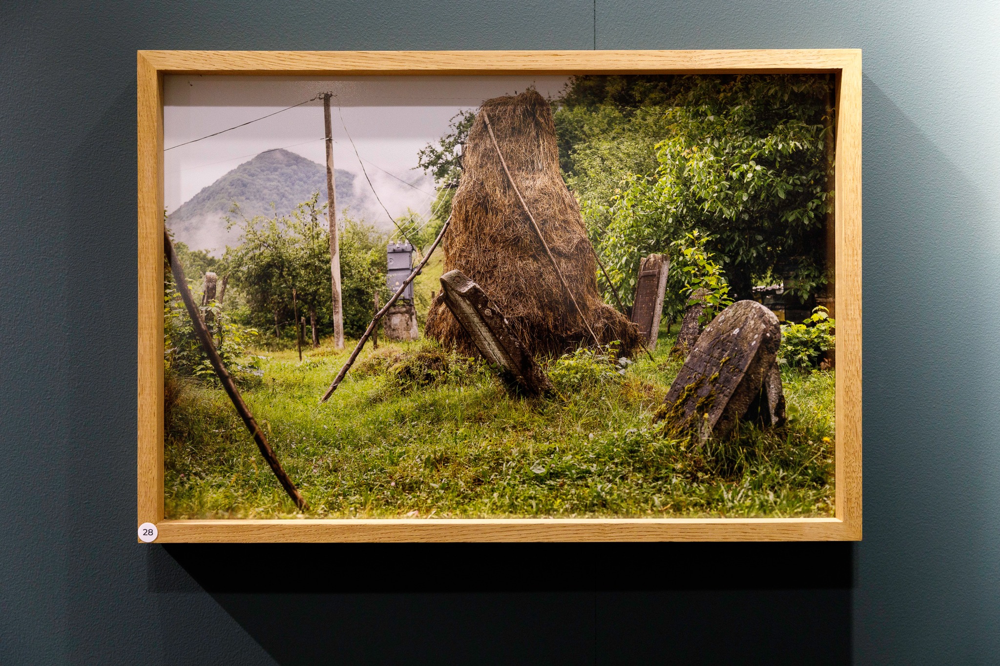 Obraz przedstawiający „Polifonia pamięci na granicach karpackich światów" dostępna w Radrużu 