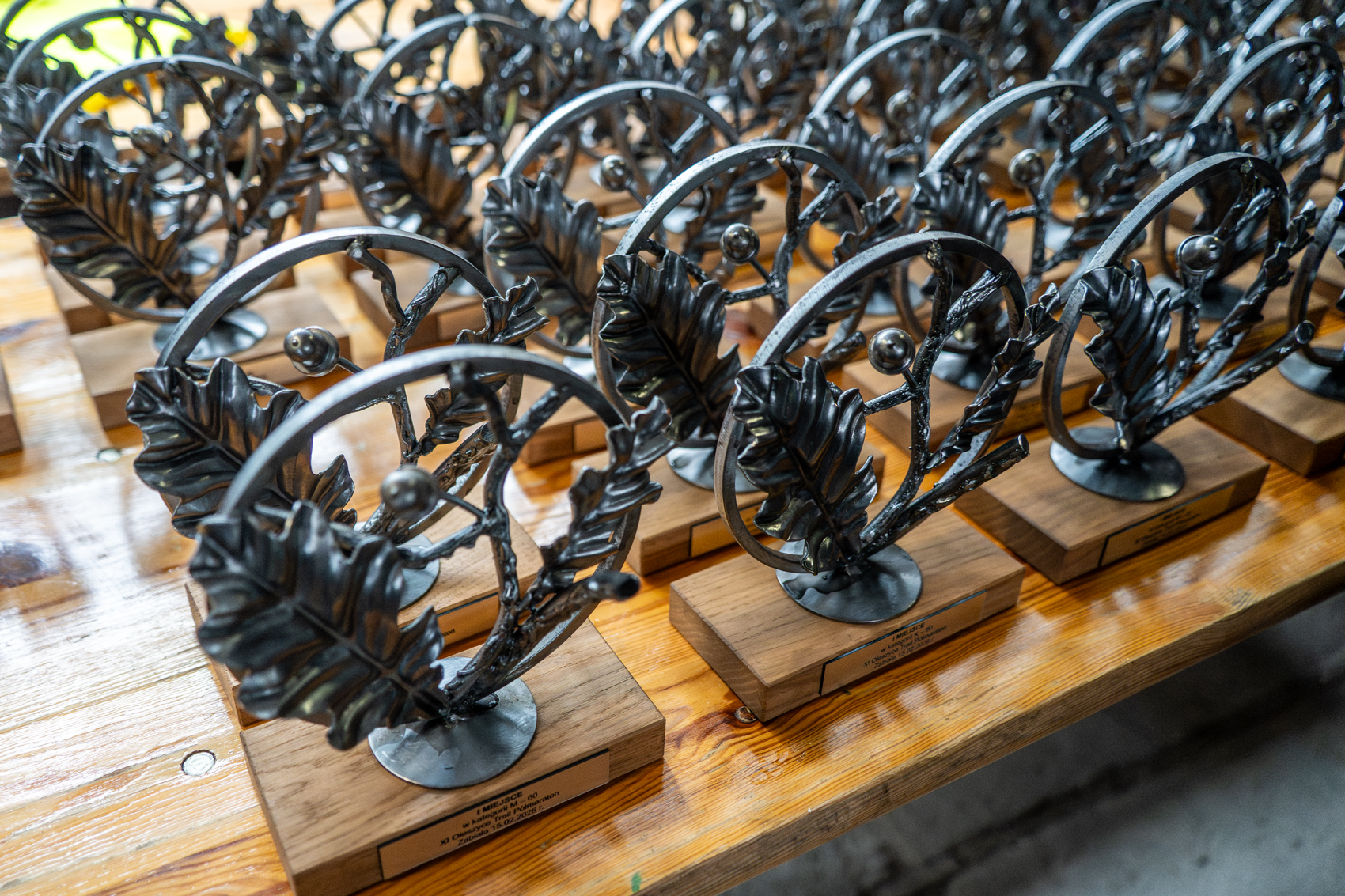 Obraz przedstawiający Sportowe emocje w zimowych warunkach - XI Trail Półmaraton i X Nordic Walking