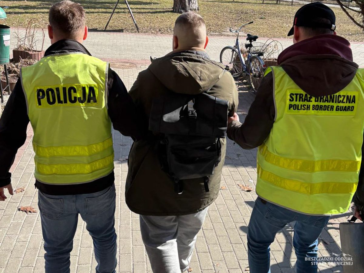 Obraz przedstawiający Straż Graniczna i Policja w akcji. Zatrzymano 37 poszukiwanych osób