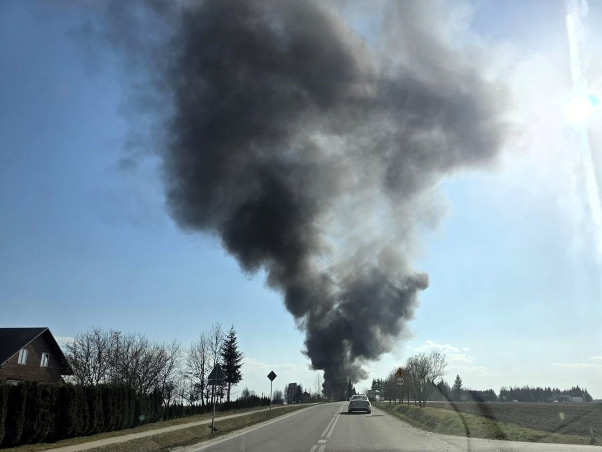 Obraz przedstawiający Pożar nieużytków w gminie Oleszyce. Ogień pojawił się w lasku przy drodze do Suchej Woli