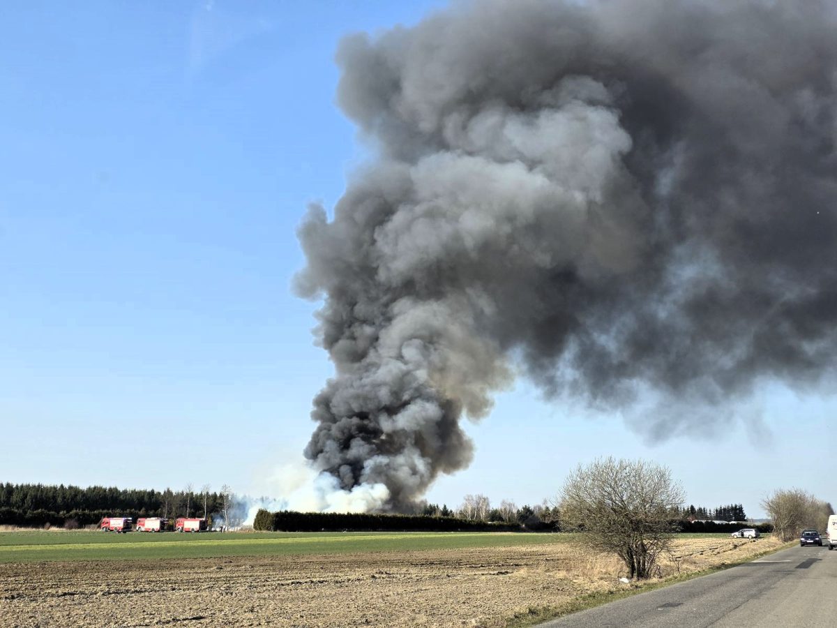 Obraz przedstawiający Pożar nieużytków w gminie Oleszyce. Ogień pojawił się w lasku przy drodze do Suchej Woli