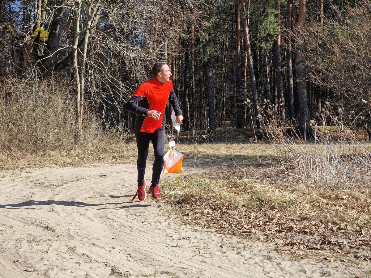 Obraz przedstawiający Biegacze przywitali wiosnę w lesie Niwki. Ponad setka zawodników na starcie