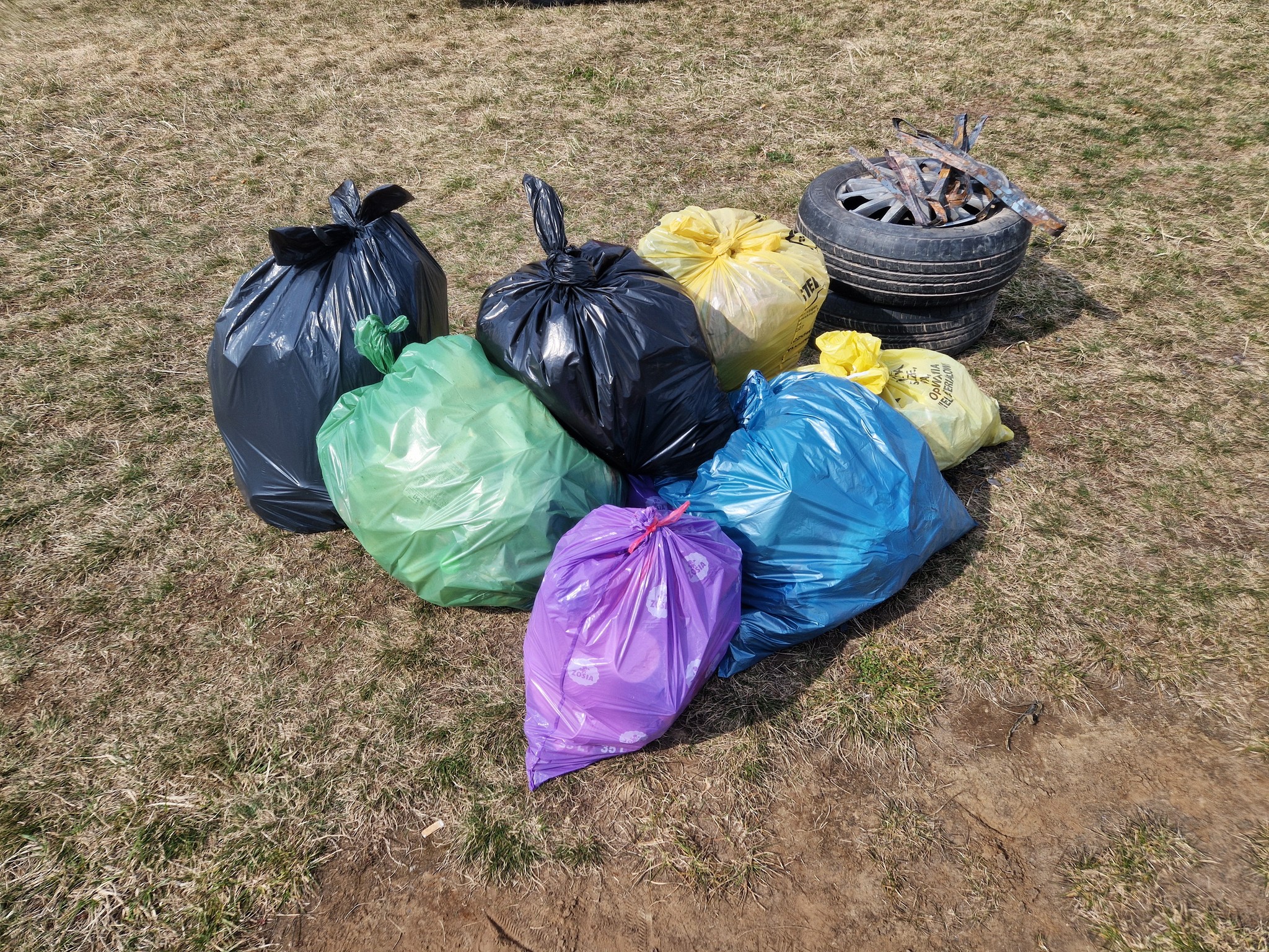 Obraz przedstawiający "Czysta Rzeka" w Borowej Górze. Wędkarze i młodzież posprzątali okolicę łowiska