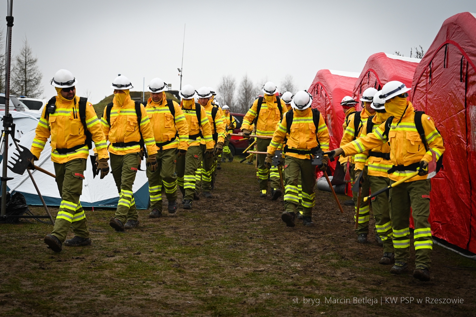 Obraz przedstawiający Strażacy z Lubaczowa szkolą się w walce z wielkopowierzchniowymi pożarami