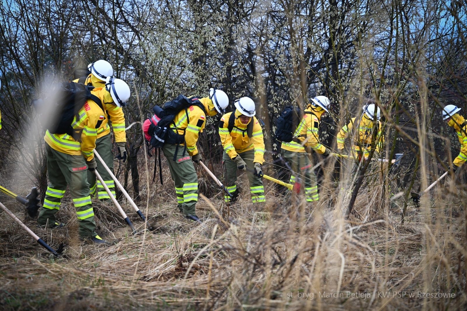Obraz przedstawiający Strażacy z Lubaczowa szkolą się w walce z wielkopowierzchniowymi pożarami