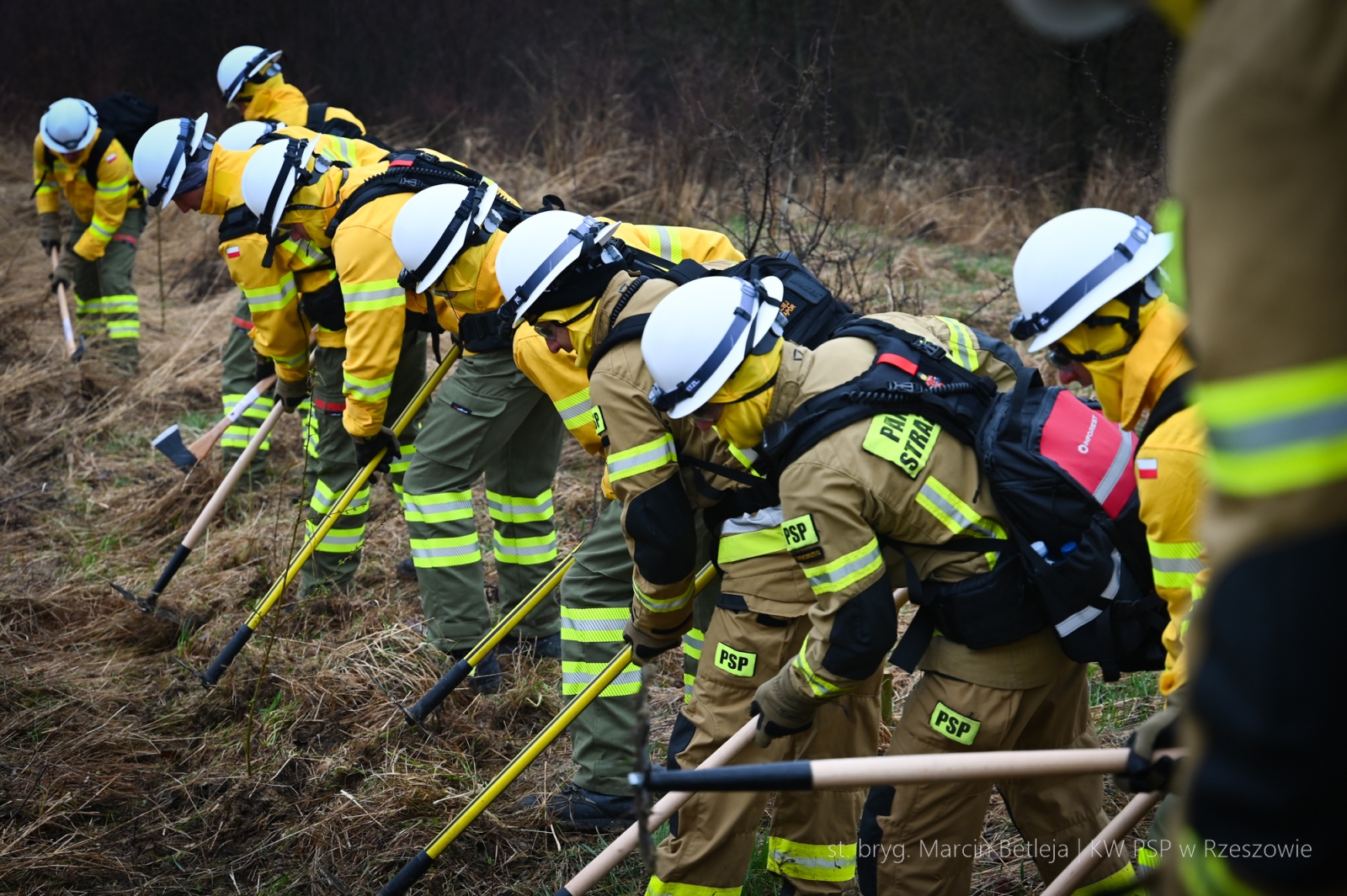 Obraz przedstawiający Strażacy z Lubaczowa szkolą się w walce z wielkopowierzchniowymi pożarami