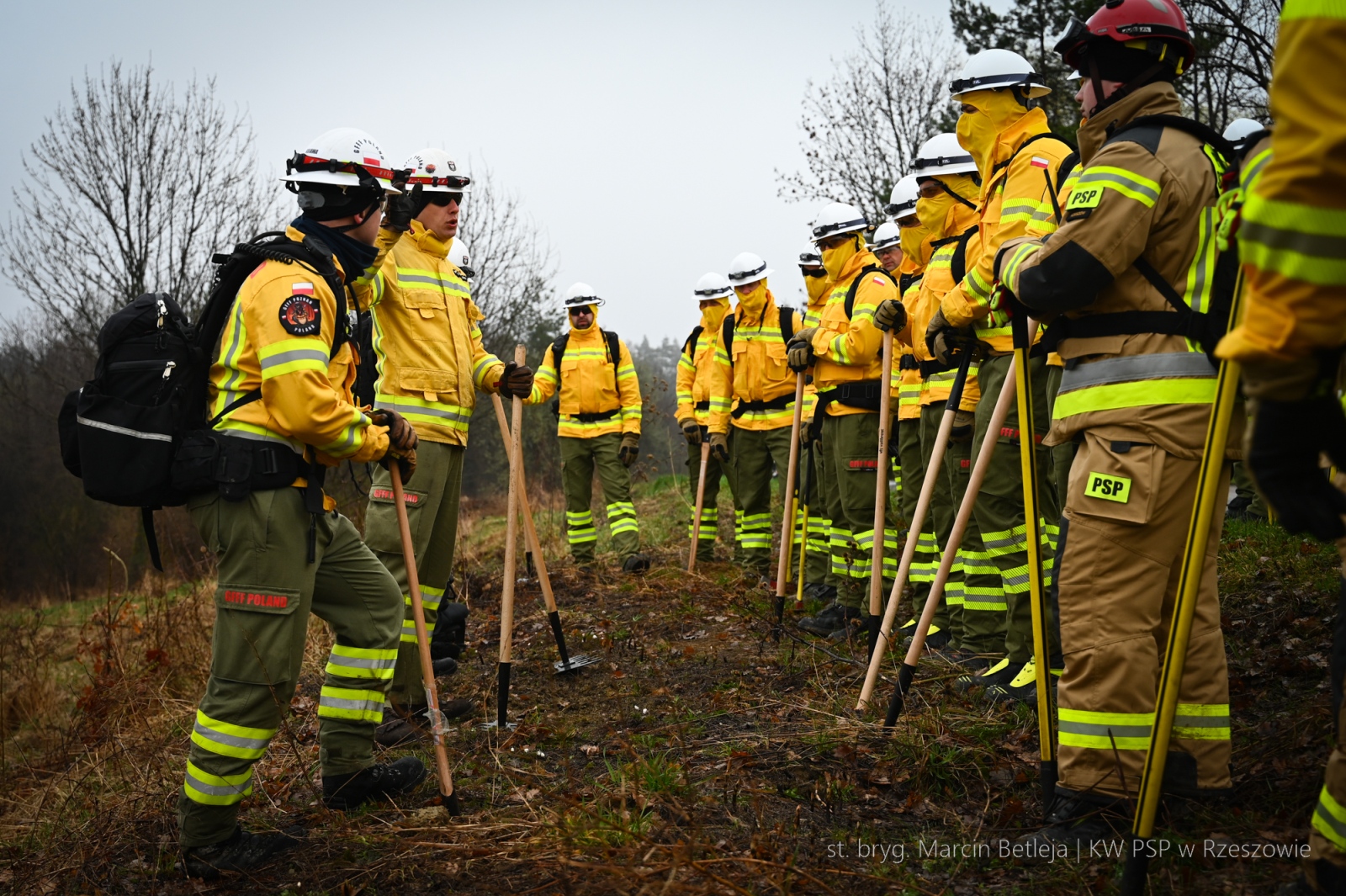 Obraz przedstawiający Strażacy z Lubaczowa szkolą się w walce z wielkopowierzchniowymi pożarami