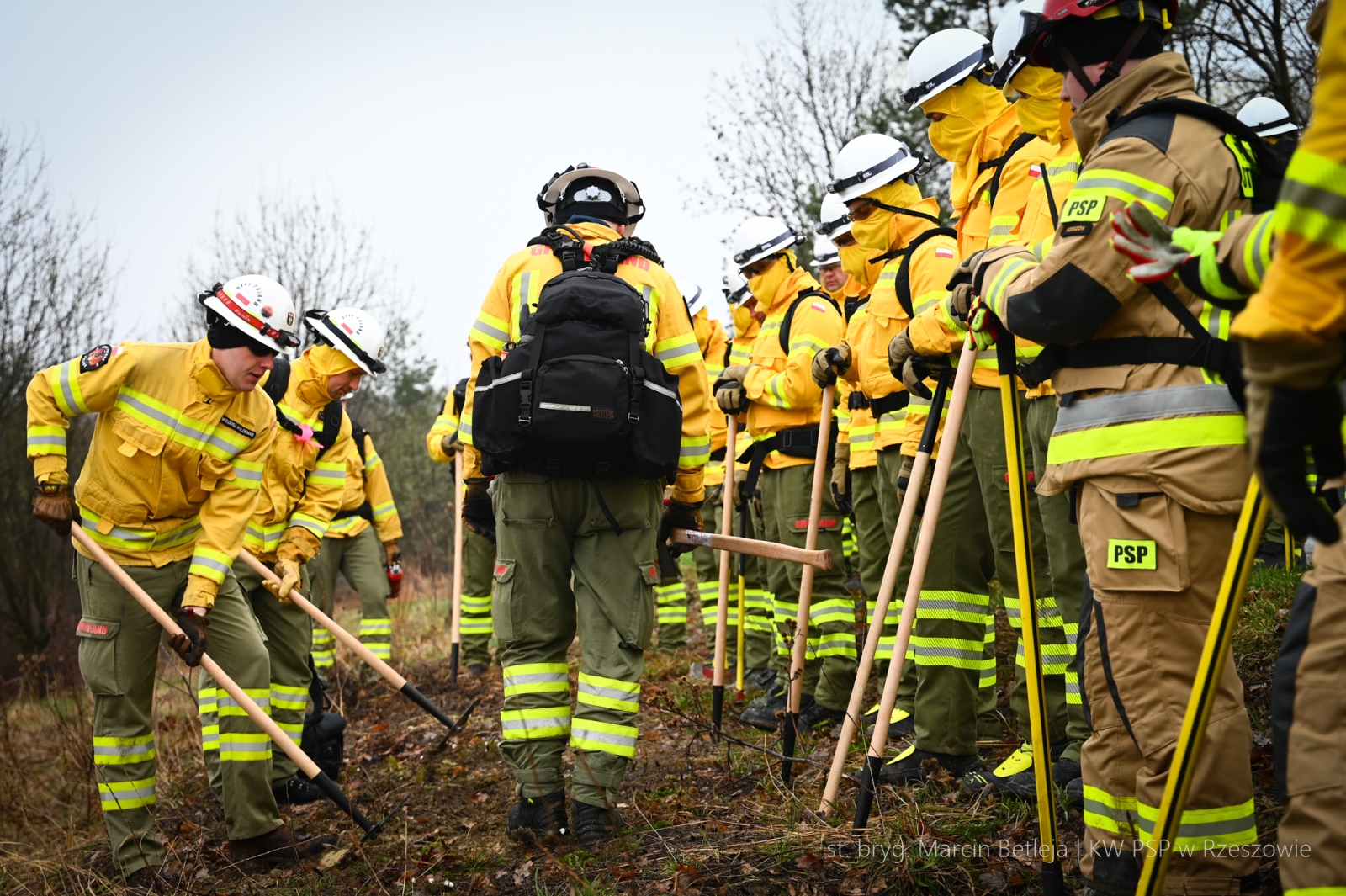 Obraz przedstawiający Strażacy z Lubaczowa szkolą się w walce z wielkopowierzchniowymi pożarami