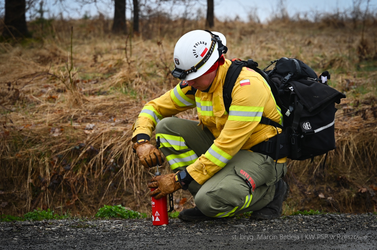 Obraz przedstawiający Strażacy z Lubaczowa szkolą się w walce z wielkopowierzchniowymi pożarami