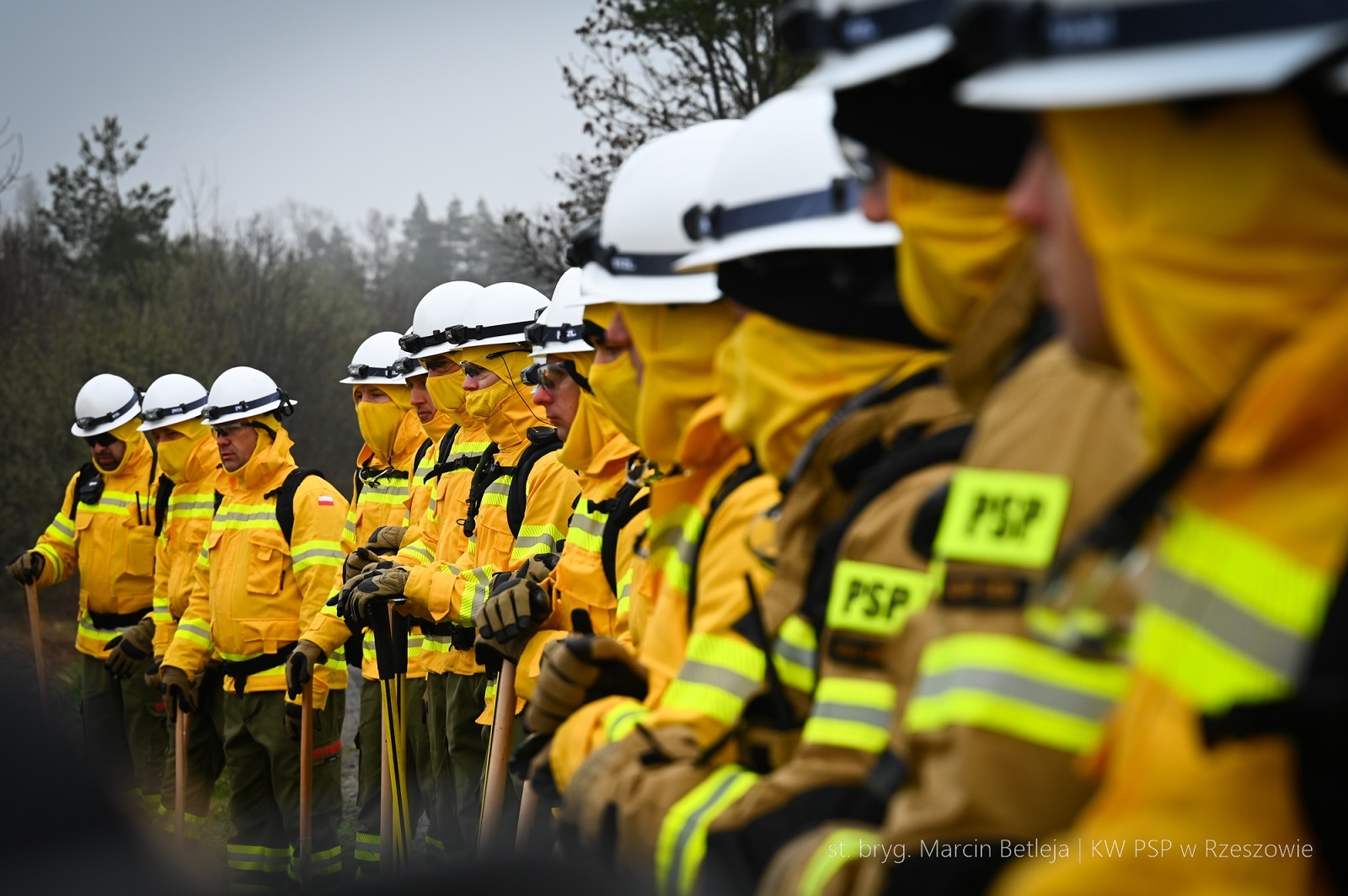 Obraz przedstawiający Strażacy z Lubaczowa szkolą się w walce z wielkopowierzchniowymi pożarami
