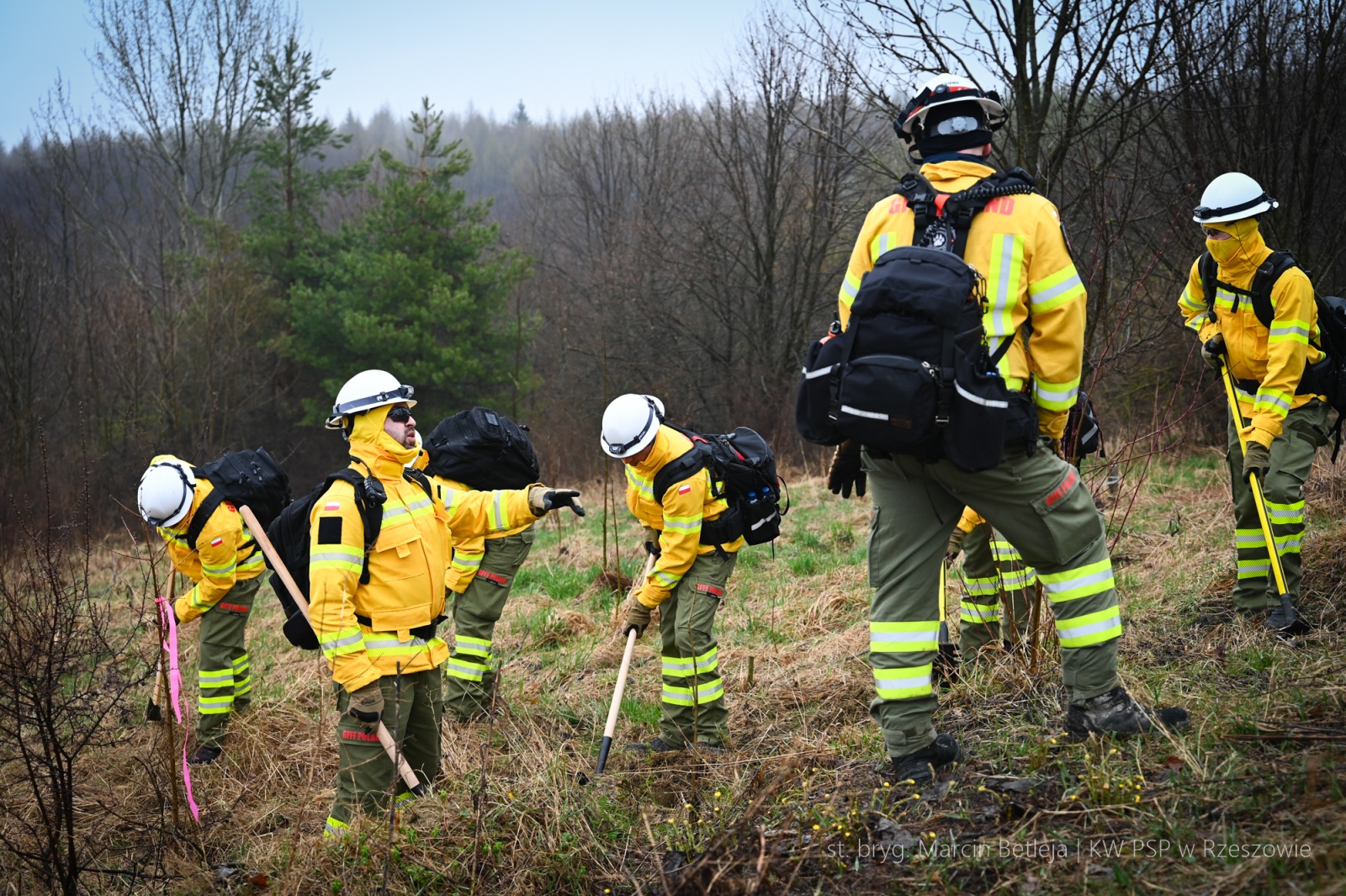 Obraz przedstawiający Strażacy z Lubaczowa szkolą się w walce z wielkopowierzchniowymi pożarami