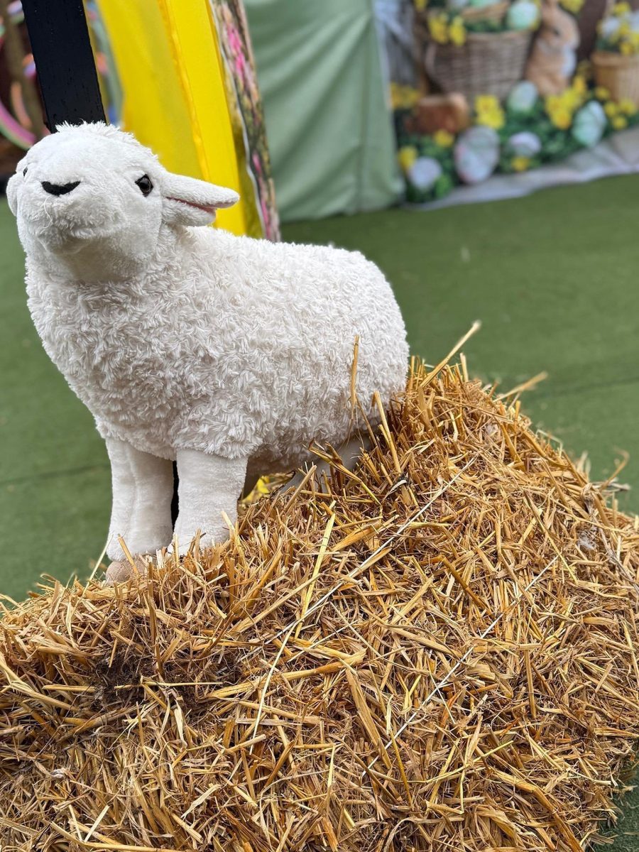 Obraz przedstawiający Wielkanocne pomaganie w Ekomaluchach. Kiermasz dla Michalinki zakończony sukcesem