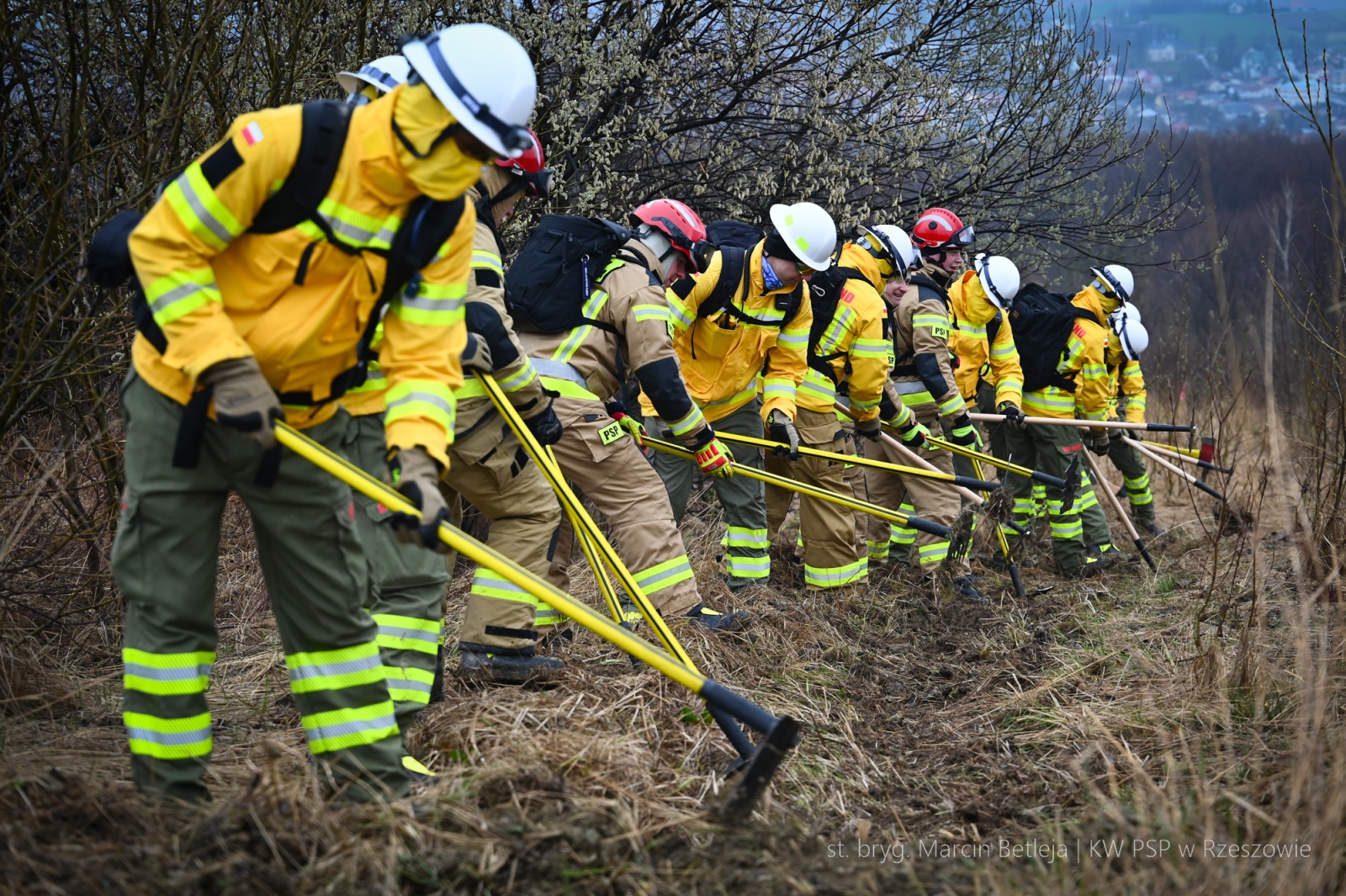 Obraz przedstawiający Strażacy z Lubaczowa szkolą się w walce z wielkopowierzchniowymi pożarami