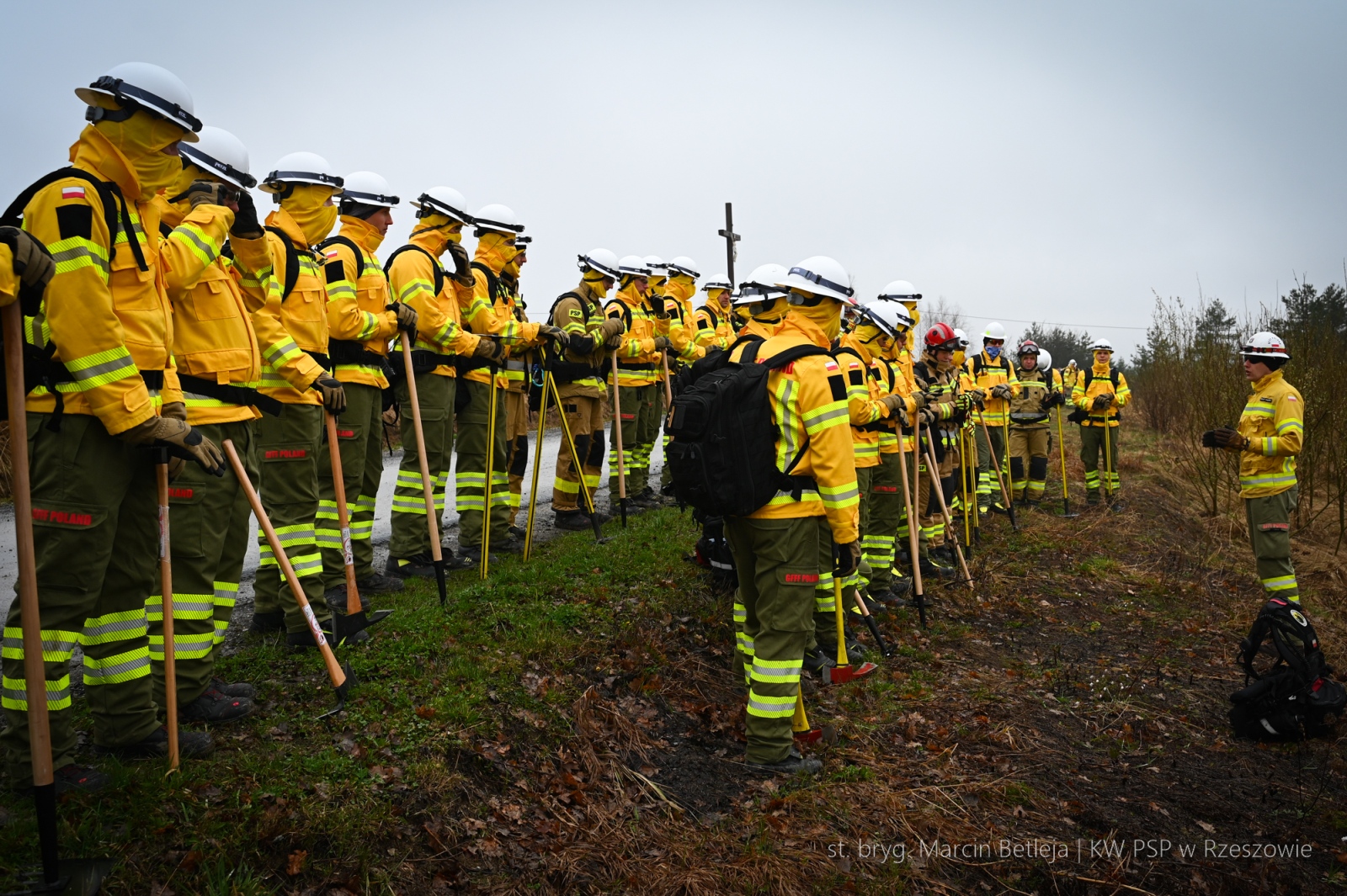 Obraz przedstawiający Strażacy z Lubaczowa szkolą się w walce z wielkopowierzchniowymi pożarami