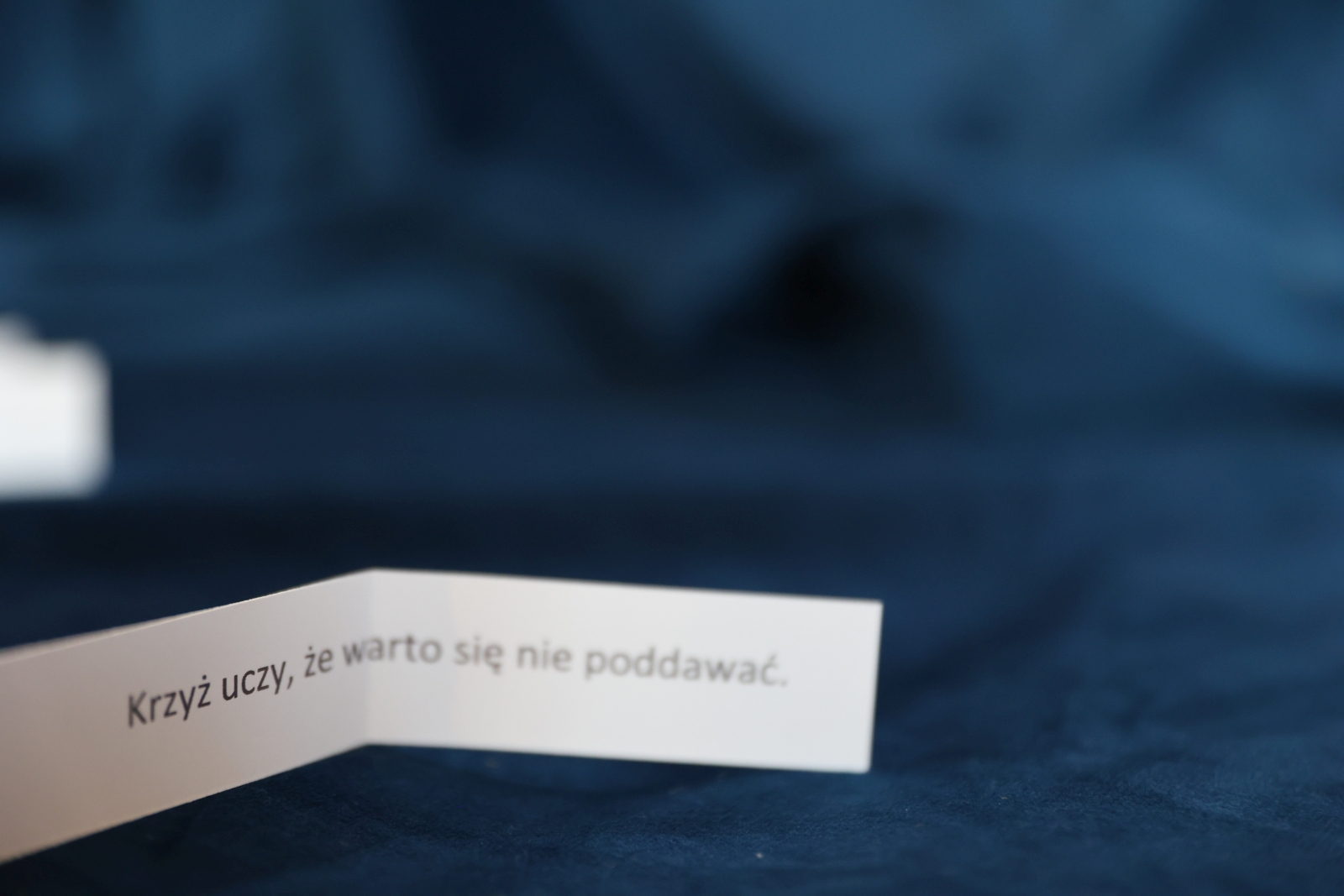 Obraz przedstawiający Zaduma wielkopostna w Krowicy Samej [ZDJĘCIA]