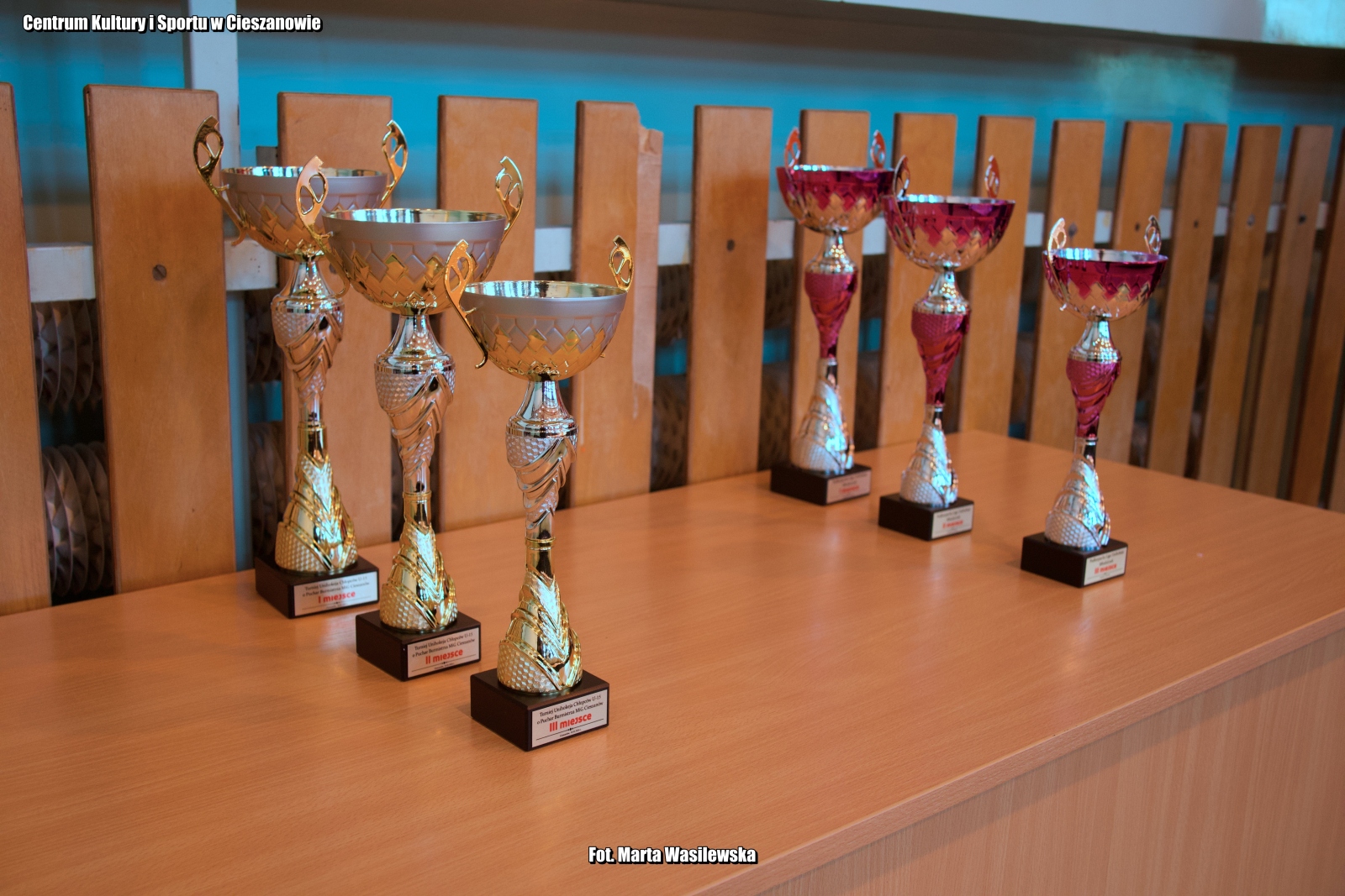 Obraz przedstawiający SP Nowa Wieś i SP Dachnów triumfują w turnieju unihokeja w Cieszanowie