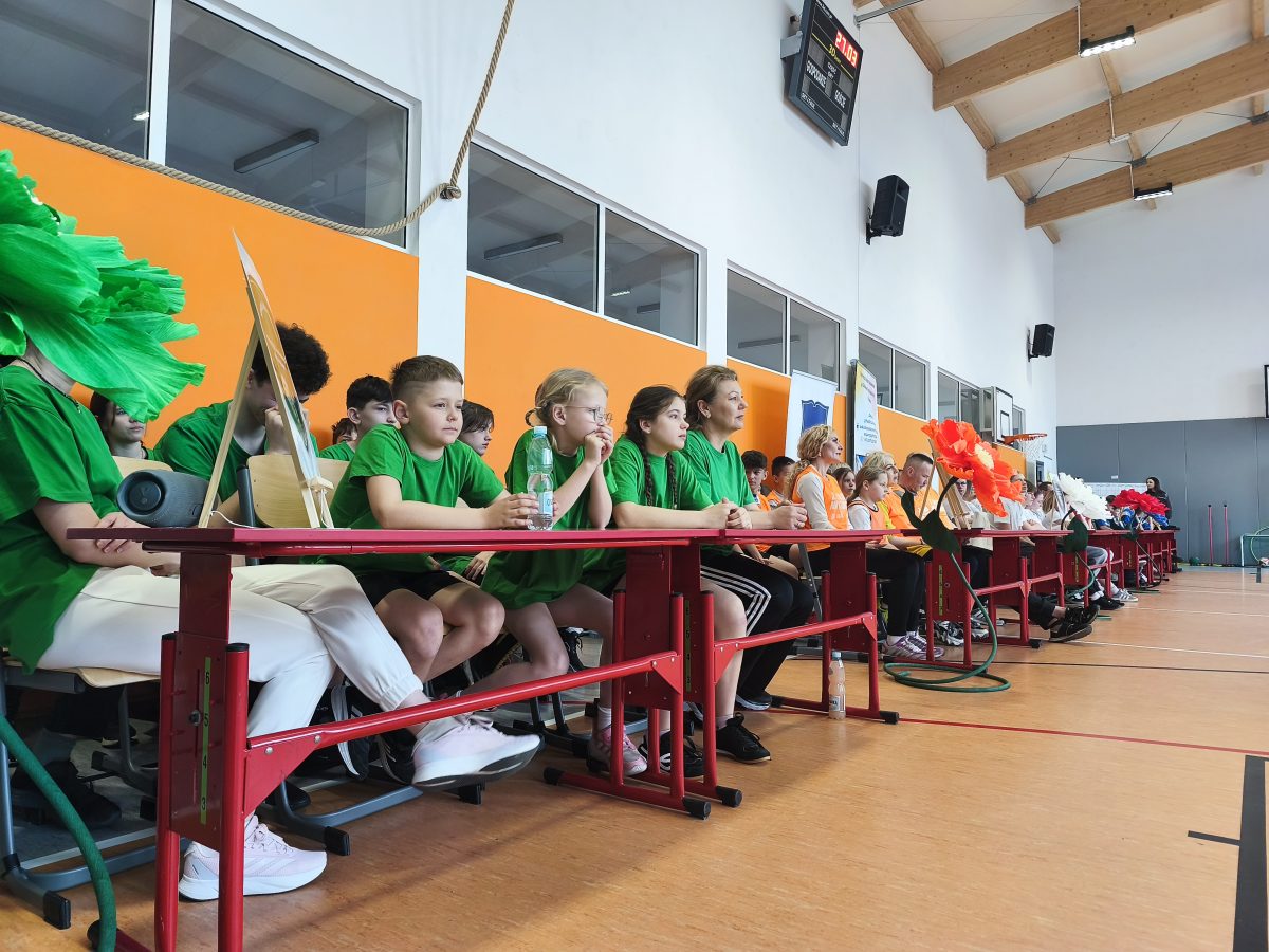 Obraz przedstawiający Sport i edukacja w Krowicy Samej